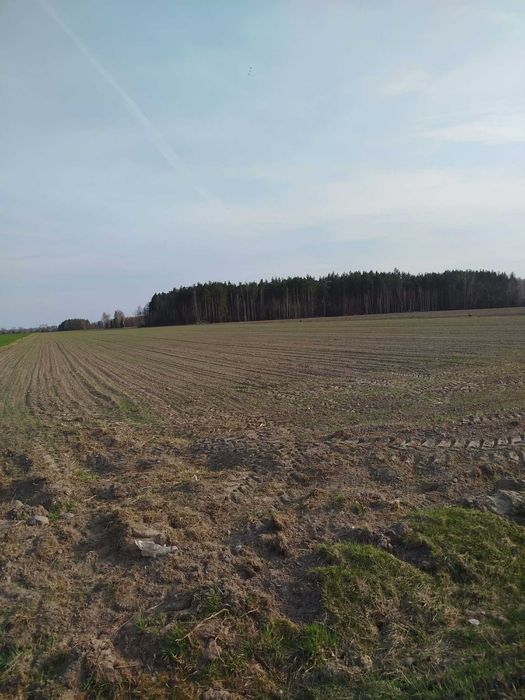 Działki budowlane Malczyn gmina Nasielsk 19/1-19/8 - Widok 2