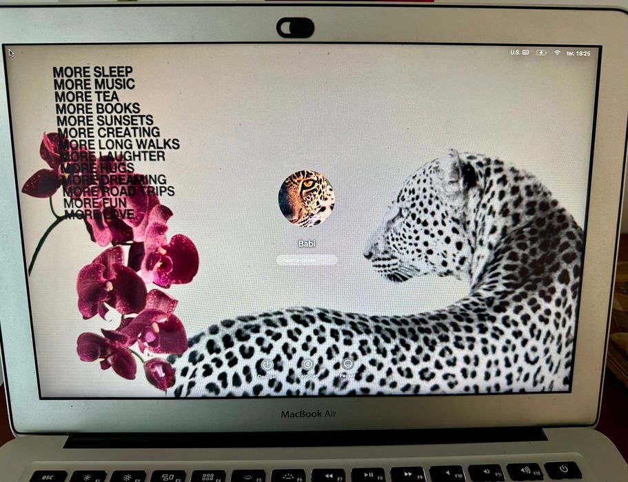 Apple Mackbook Air + carregador
