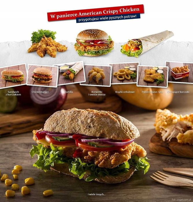 Frytkownica do Kurczaka Po Amerykańsku FE-10L 400V