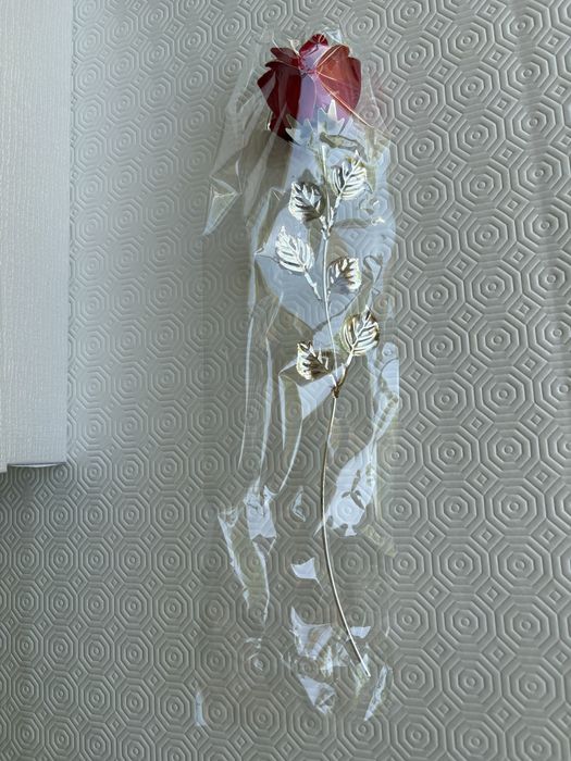 Rosa vermelha Bagutta