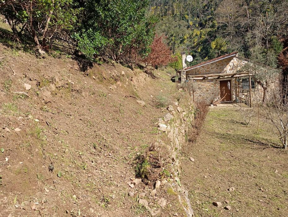 Limpeza de terrenos agrícolas mato podas