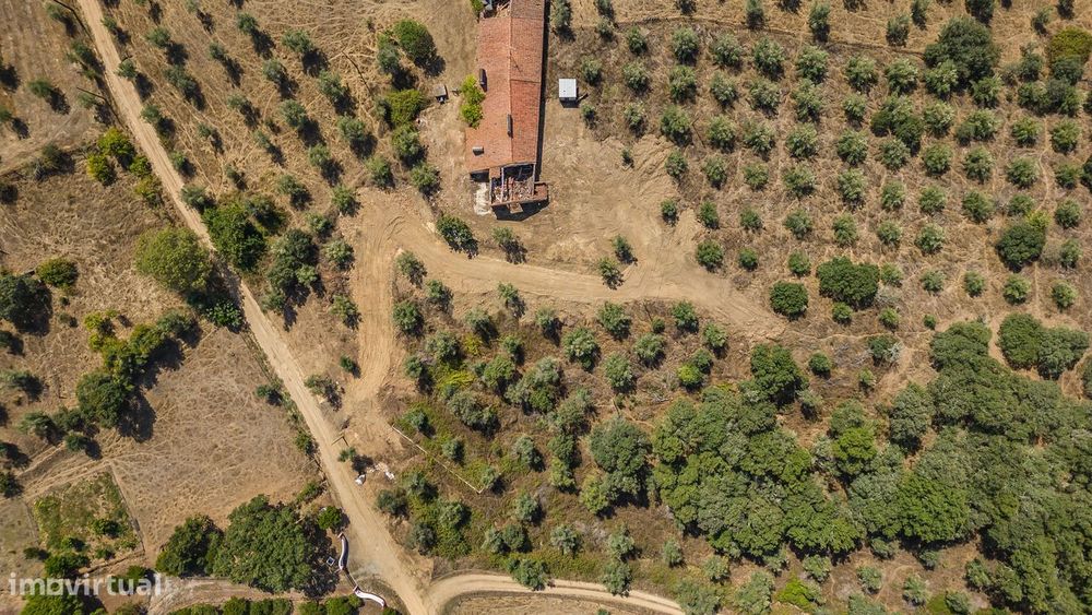 Herdade Com 5,9 Hectares, Moradia E Cavalariça | Santiago Do Escoural