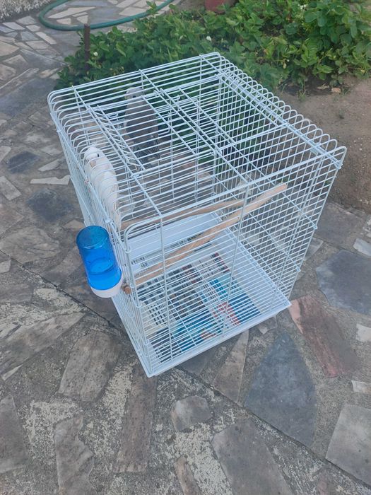 Gaiola para aves de médio porte!!!