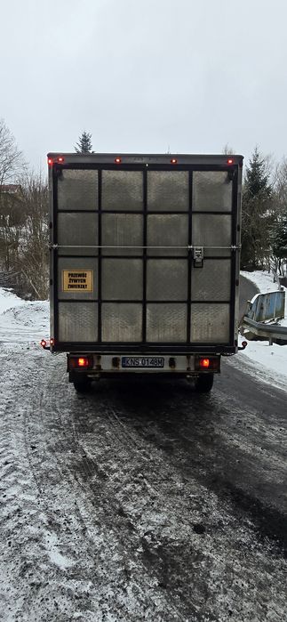 Citroen Jumper 2.2 do żywca