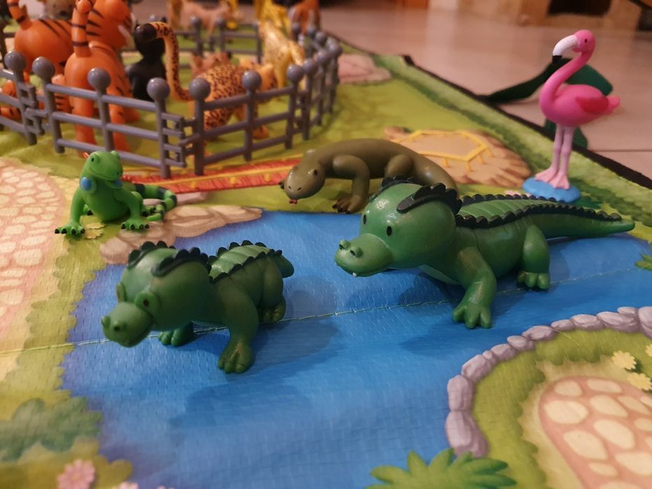 Kolekcja "Zwierzęta w zoo"