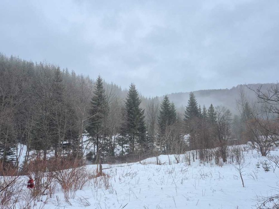 Будинок з ділянкою біля гір