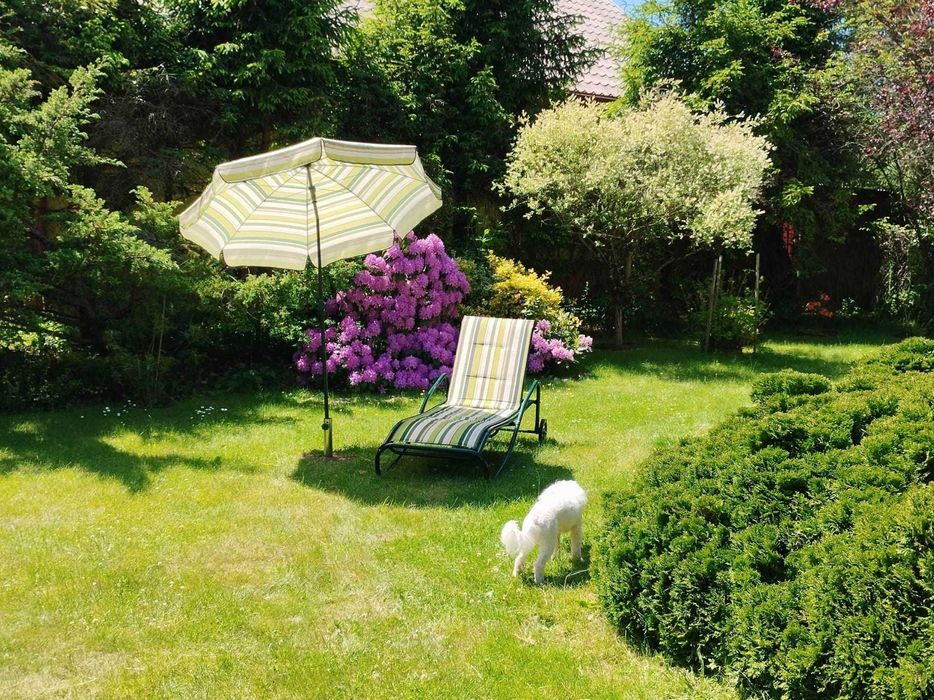 Bielawki domek - Kaszuby - jezioro Gowidlińskie