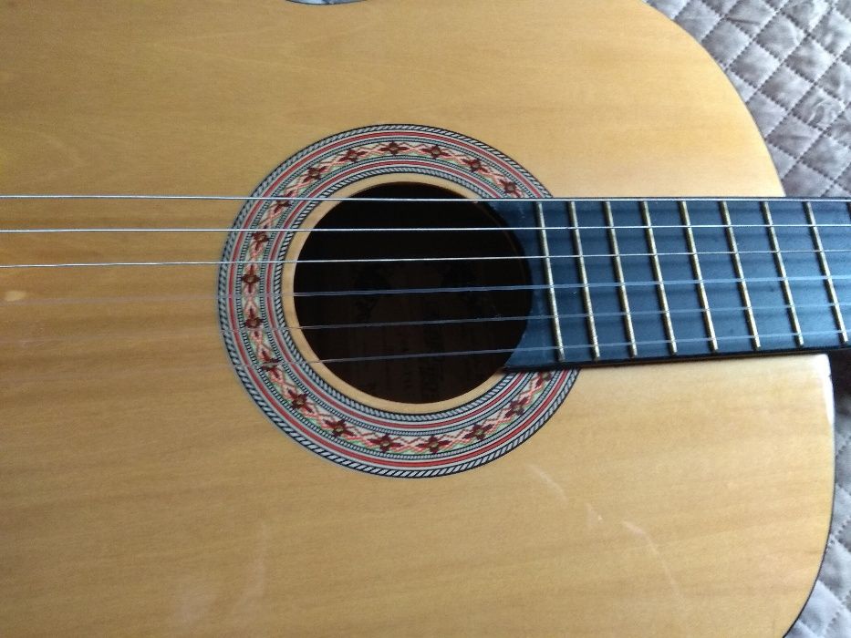 Viola64750640032642122