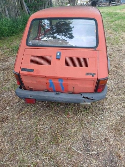 maluch 126p maluch