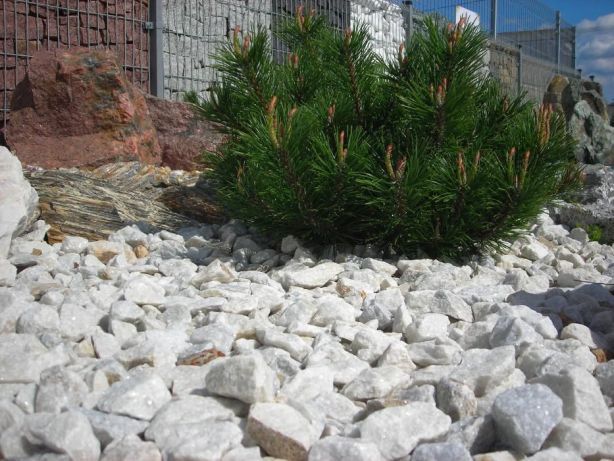 Kalcyt Bałkański biały kamień Thassos grys Bianco Crystal White Angel