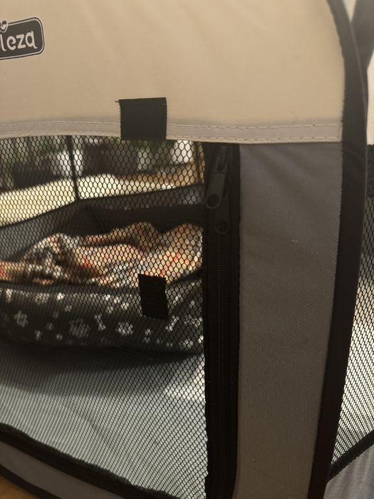 Kojec dla pieska kota