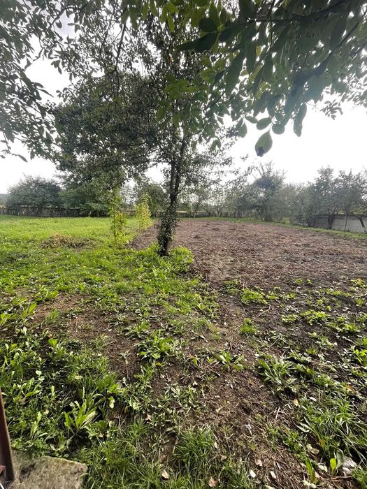 Цегляний будинок в с. Сілець, 7 км від Шептицького