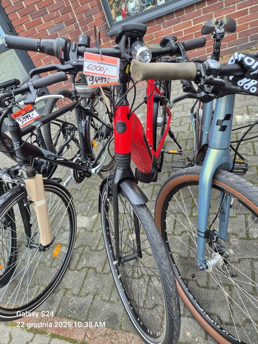 Rowery Curtis/Giant/Sparta/Gazelle/Batavus/MTB/Pegasus/Altra/KCP/Union