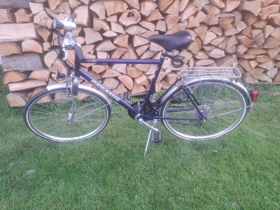 Rower Pegasus Laola