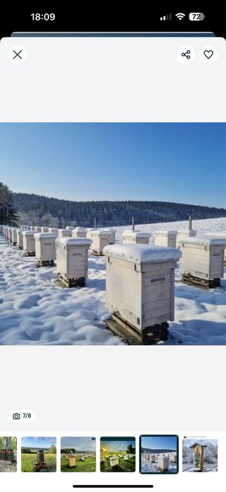 Mikstura wzmacniająca odporność 4 x sloik 235 ml