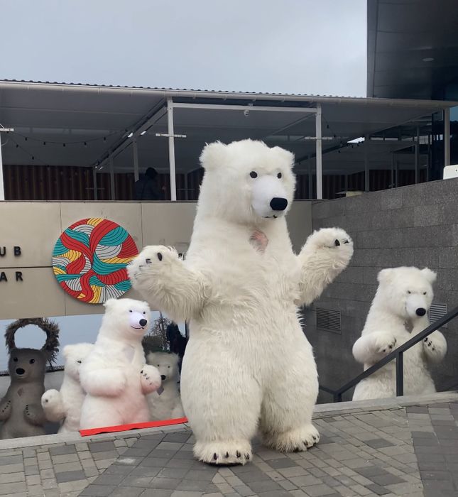 Мишка, Ведмедик, Аниматор