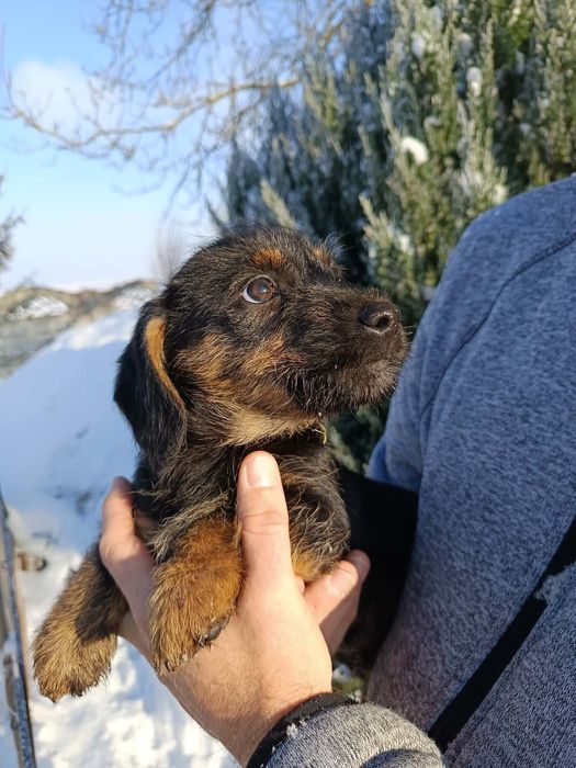 Kto da kochający domek