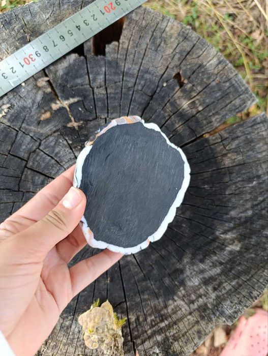 Годівничка напувалка для рептилій, плазунів, комах, хом'яків, мишей