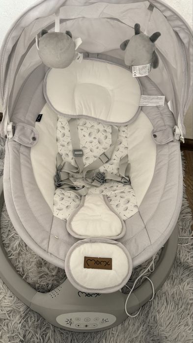 Momi заколисуючий центр