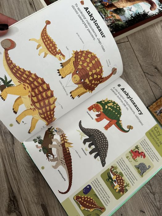 Książki o dinozaurach + puzzle