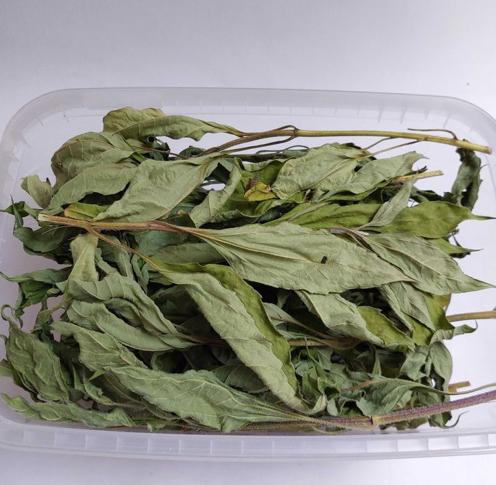 jabłoń, olcha, topinambur 180g   #królik #kawia  #szynszyla
