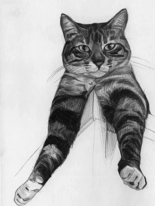 Онлайн уроки рисования ( дети, взрослые)