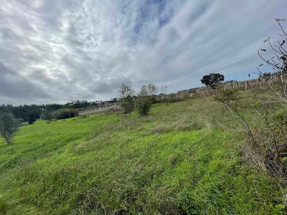 vende-se terreno FONTE DE AREIA com 1490m2 com poço