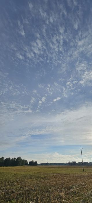 Sprzedam ziemie pod farmę fotowoltaiczną.
