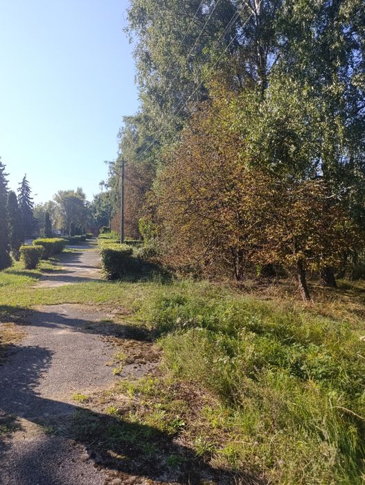 Продаж земельної ділянки в с. Сухолуччя без комісії!