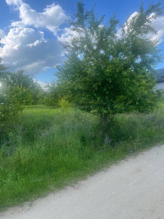 Działka Kiełczów,Brzezia Łąka,Długołeka - Widok 2