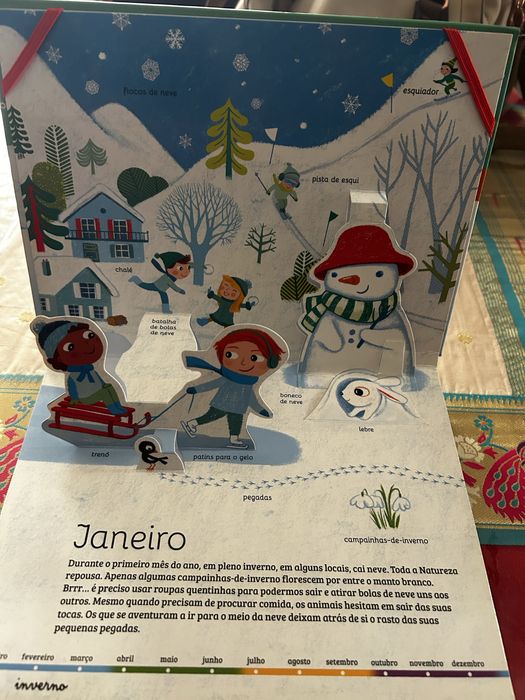Livro infantil os 12 meses do ano pop up