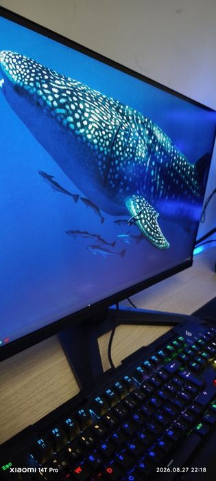 Monitor MSI 27"  rápid IPS 240Hz G-sync