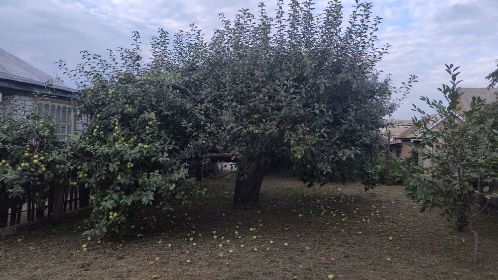 Продається будинок у селі Сагунівка