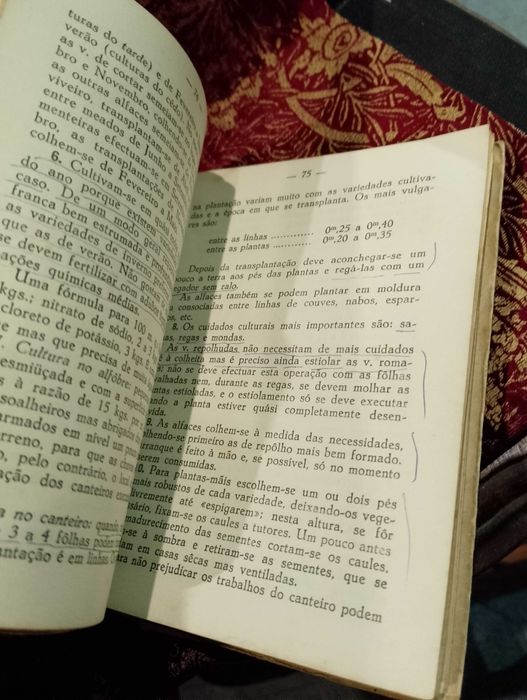 A Pequena Horta Familiar 1945 Dias Antunes