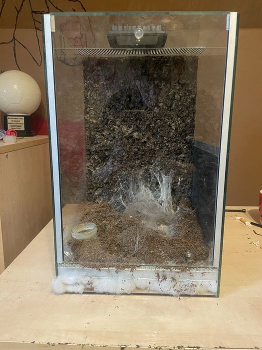 2 teriumum + Caribena i Mono B