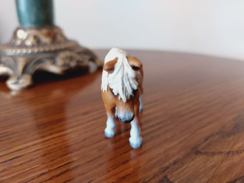 Kucyk falabella schleich