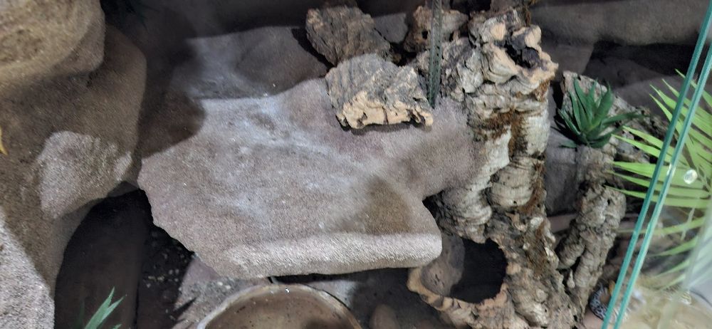 Terrarium z płyty meblowej