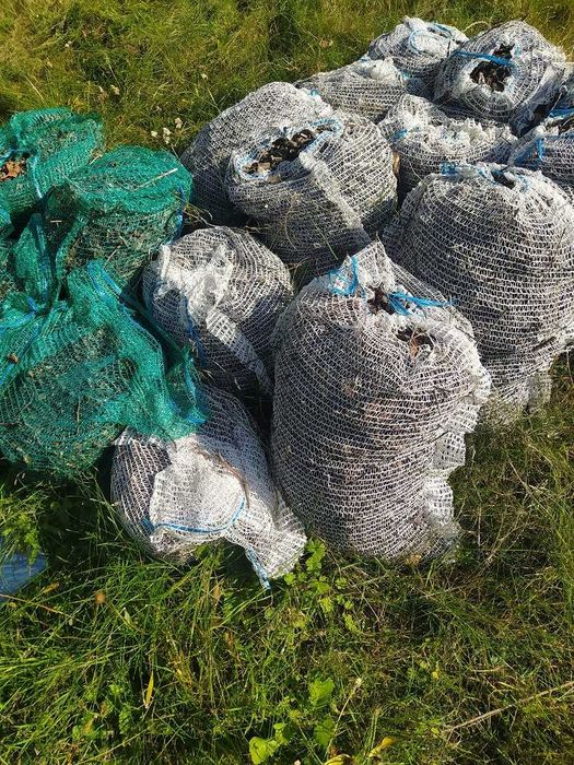 16 woreczkow zrebki z gałezi owocowych