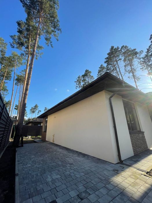 Будинок у Лісовій Бучі з газом