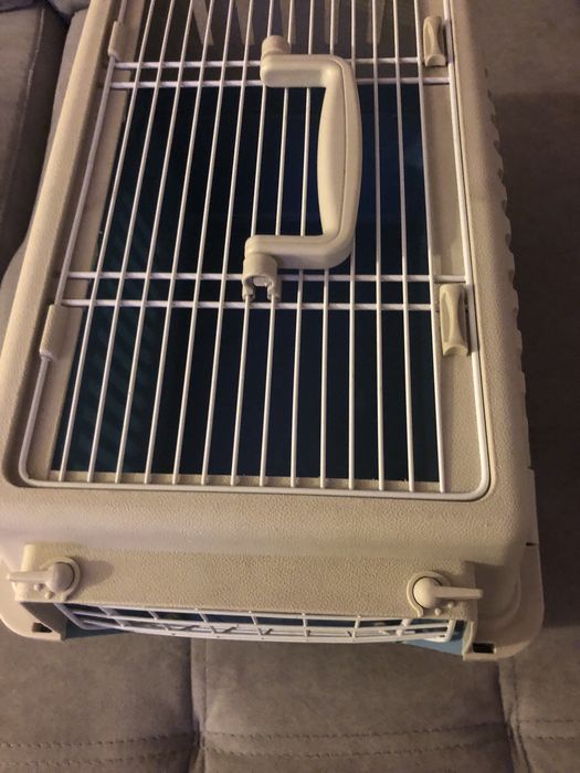 Caixa transportadora animais