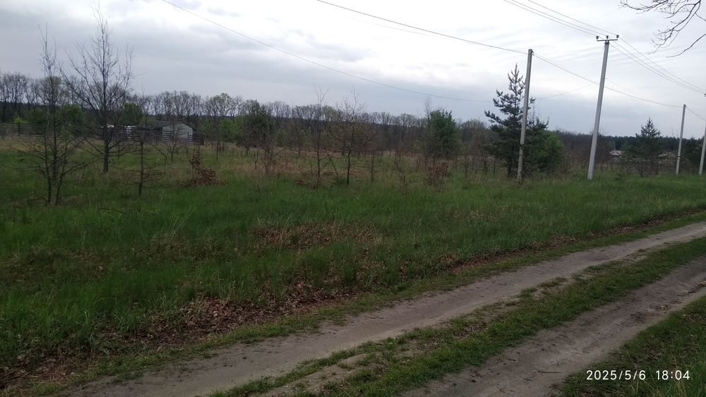 Дзвінкове. Ділянка під забудову площею 15соток біля лісу.