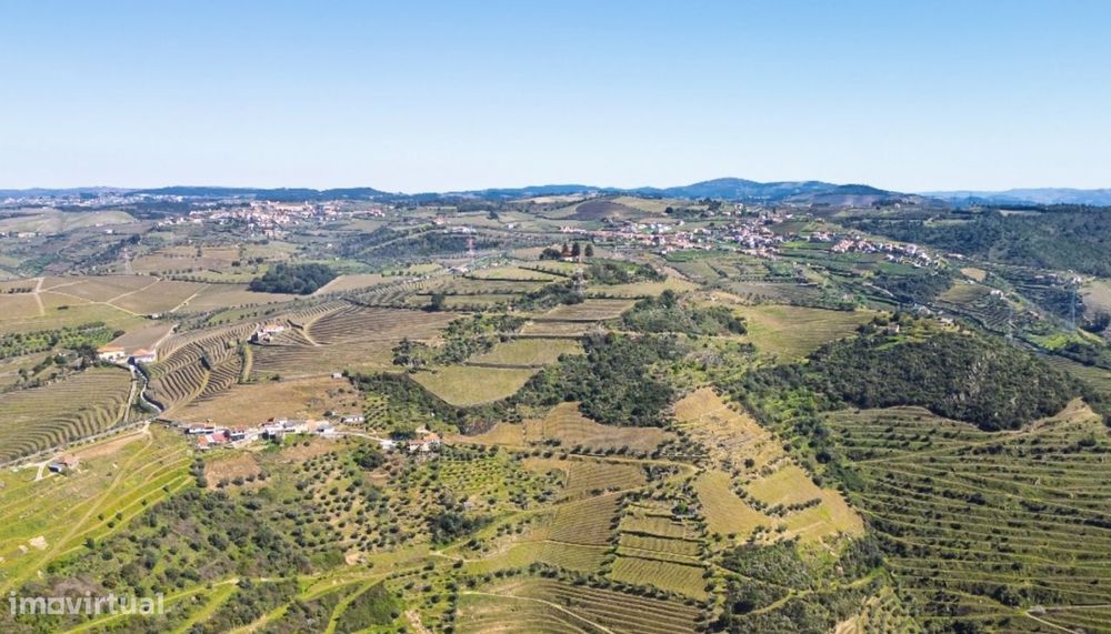 Quinta vínicola à venda no Peso da Régua no Douro Valley