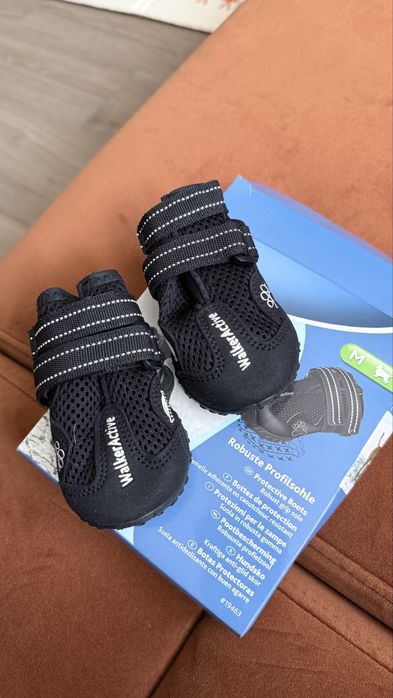 Взуття для собак