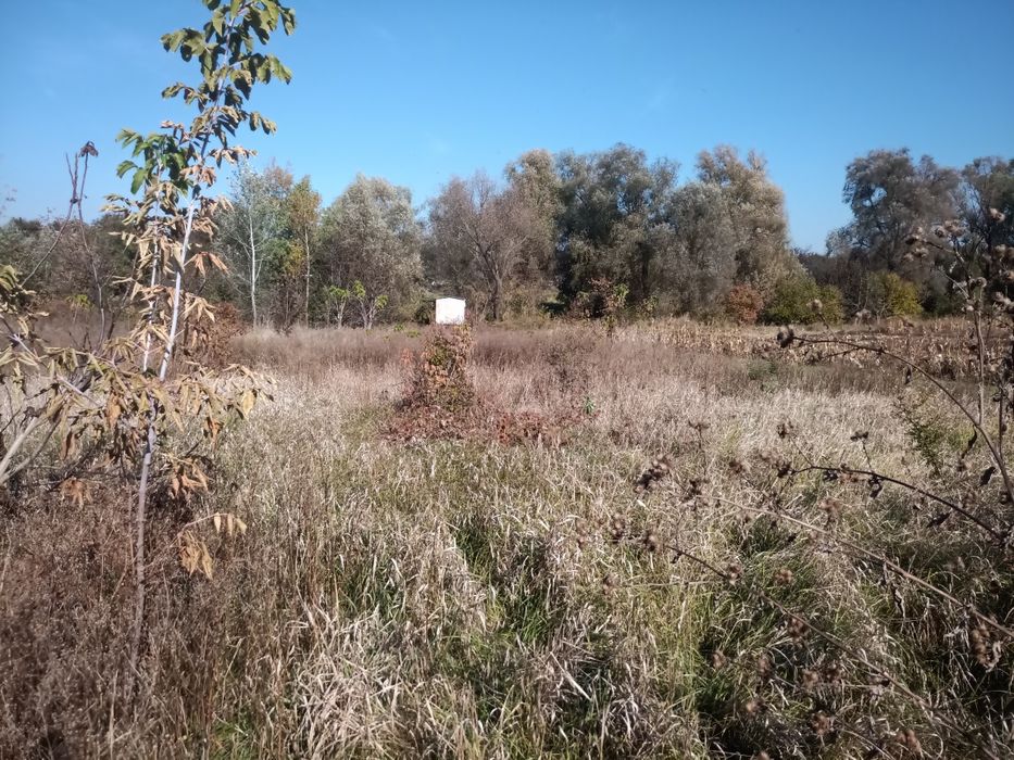 Продам земельну ділянку в с. Жуки