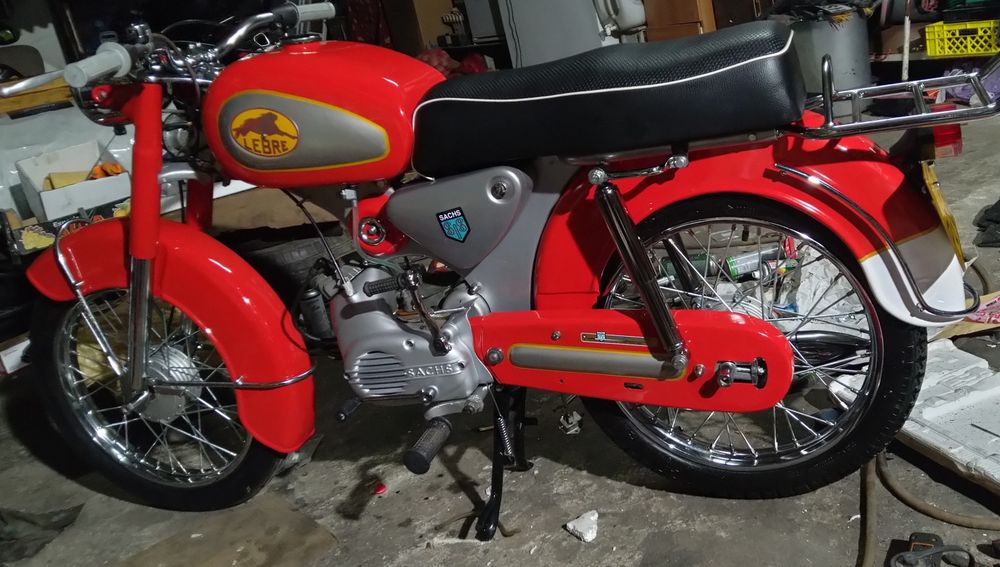Sachs lebre 1972