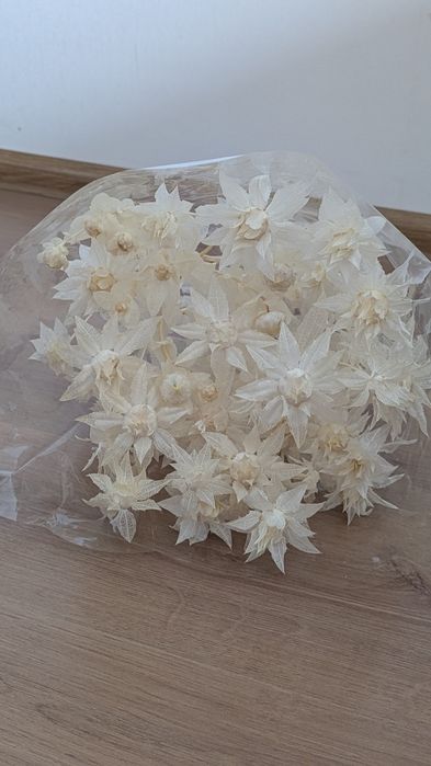 Сухоцвіти (пшениця, лагурус, фалярис)