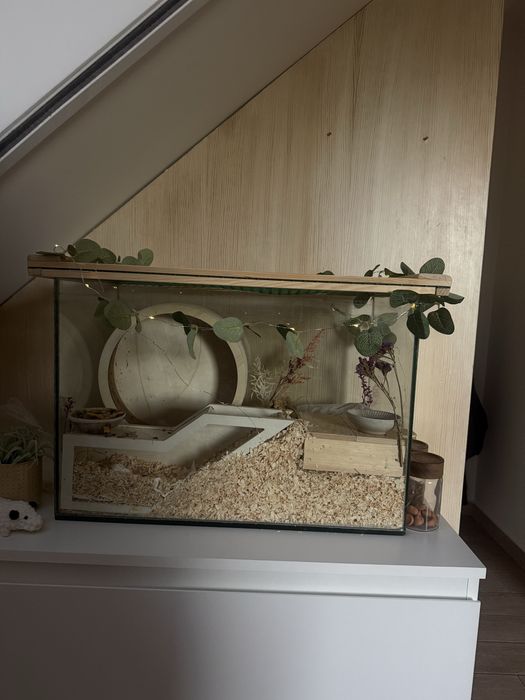 Akwarium 55x30x37 cm + drewniana pokrywa | terrarium dla chomika
