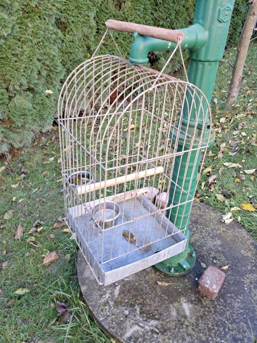 Klatka na papuge