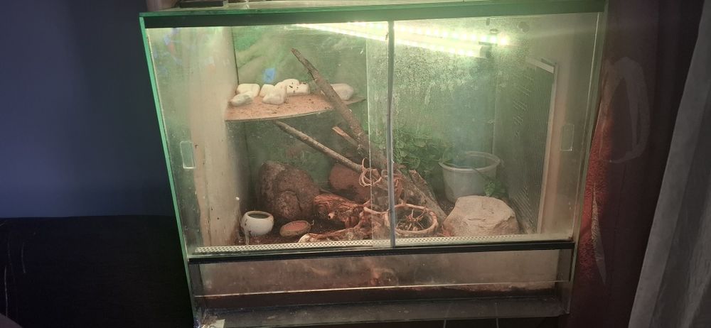 Sprzedam terrarium!