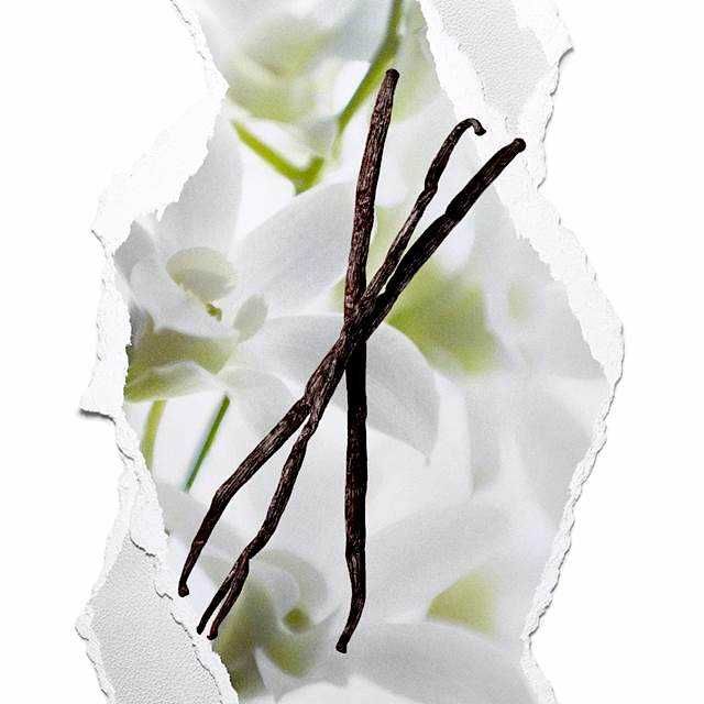 Parfum All or Nothing Rita Pereira (Selado)